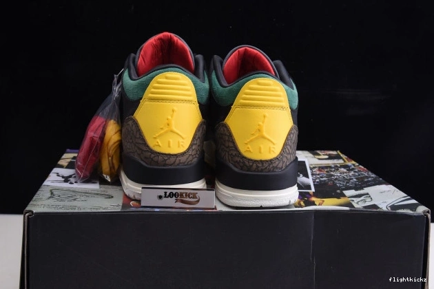 Animal Air CV3583-003 Retro Instinct Jordan 2.0 SE 3 - 0922